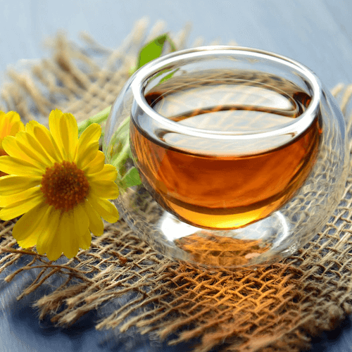 pause-tisane-cafe-congres-education